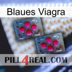 Blaue Viagra 14